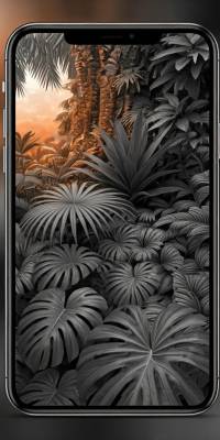 Black And White Tropical Wallpapers thumbnail