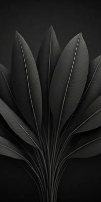 Black Botanical Wallpaper thumbnail