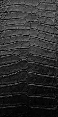 Black Crocodile Wallpaper thumbnail