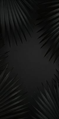 Black Palm Wallpaper thumbnail