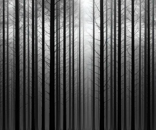 Black And White Tree Wallpaper