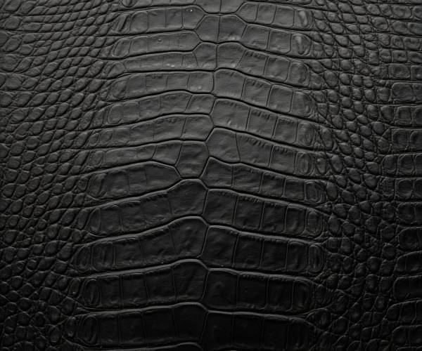 Black Crocodile Wallpaper