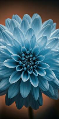 Blue Flower Wallpaper thumbnail