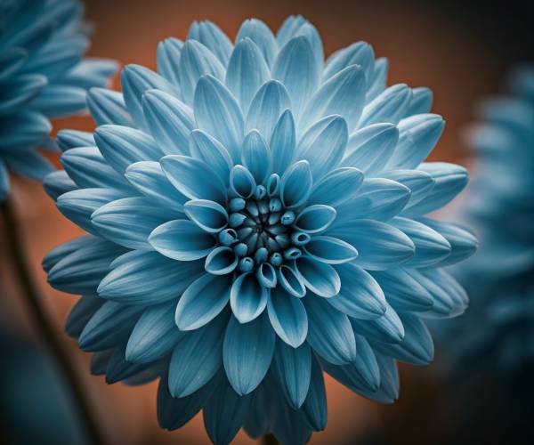 Blue Flower Wallpaper