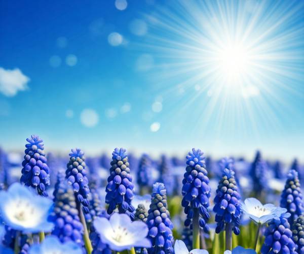 Blue Flower Wallpapers