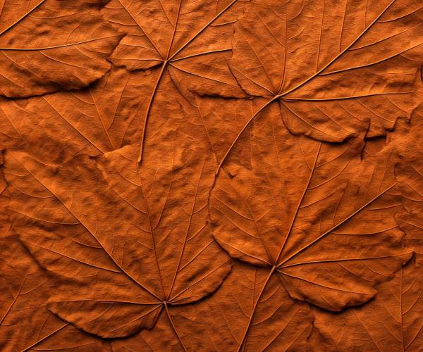 Brown Leaf Wallpaper